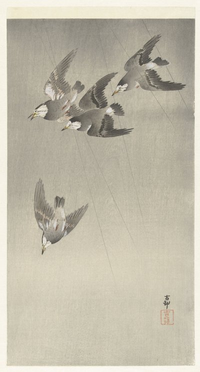 Kottarainen sateessa tekijältä Ohara Koson