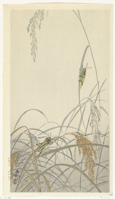 Heinäsirkat riisikasveilla tekijältä Ohara Koson