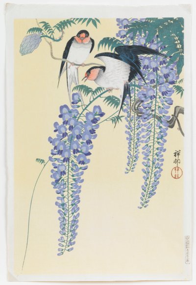 Pääskyset ja Wisteria tekijältä Ohara Koson