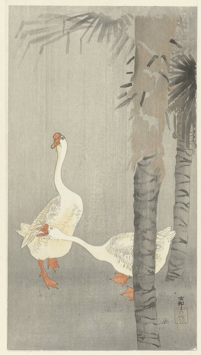 Tamme sateessa tekijältä Ohara Koson