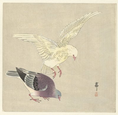 Kaksi kyyhkystä tekijältä Ohara Koson