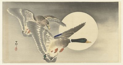 Kaksi ankkaa täysikuussa tekijältä Ohara Koson