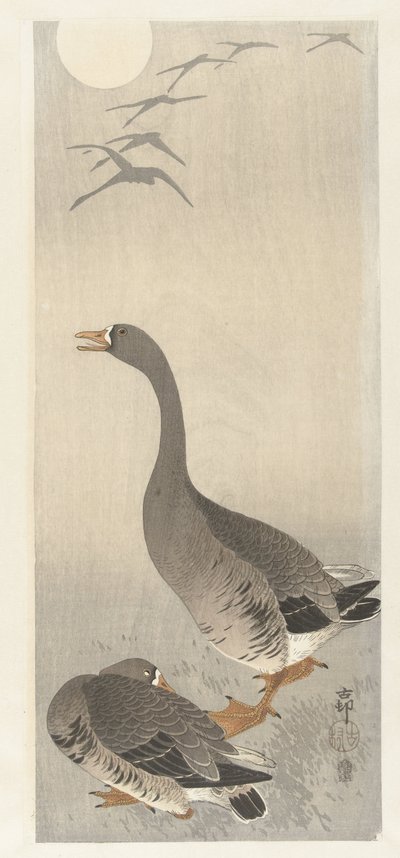 Kaksi kokonaista tekijältä Ohara Koson