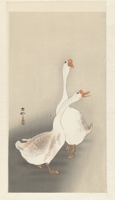 Kaksi kokonaista tekijältä Ohara Koson