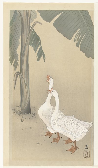 Kaksi hanhia banaanipuussa tekijältä Ohara Koson