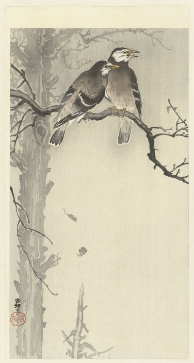 Kaksi harmaata kottaraista tekijältä Ohara Koson