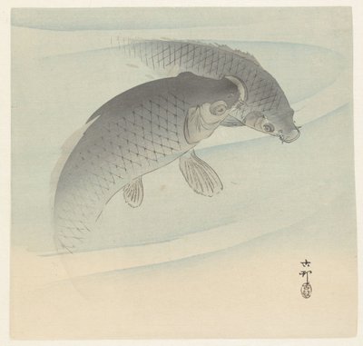 Kaksi karppia tekijältä Ohara Koson