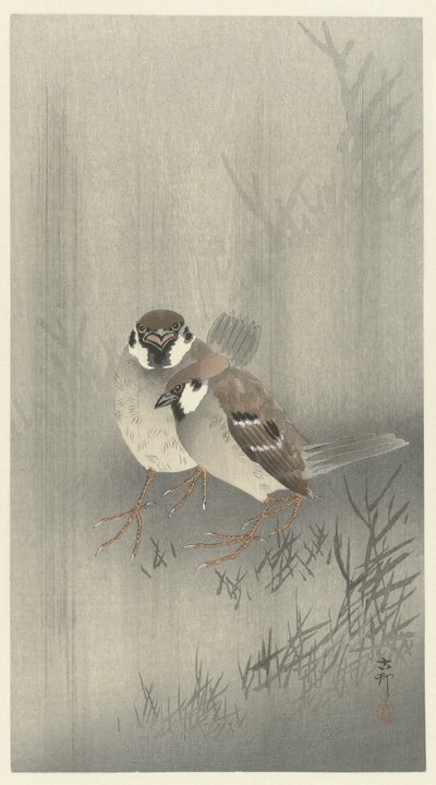 Kaksi sormusvarpusta sateessa tekijältä Ohara Koson