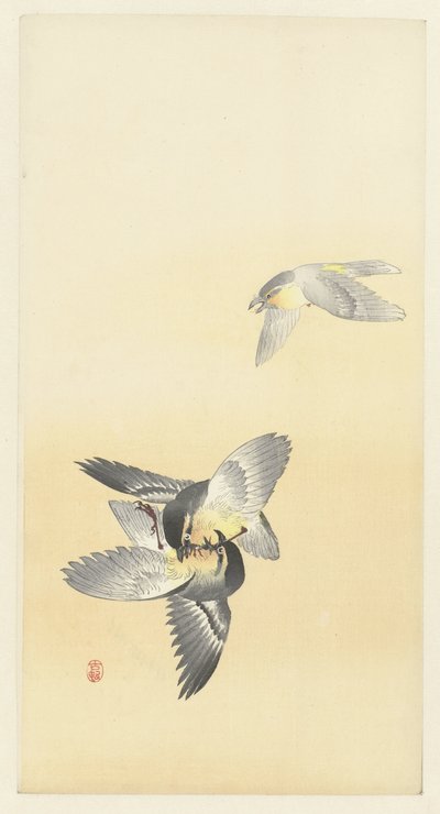 Kaksi taistelevaa lintua tekijältä Ohara Koson