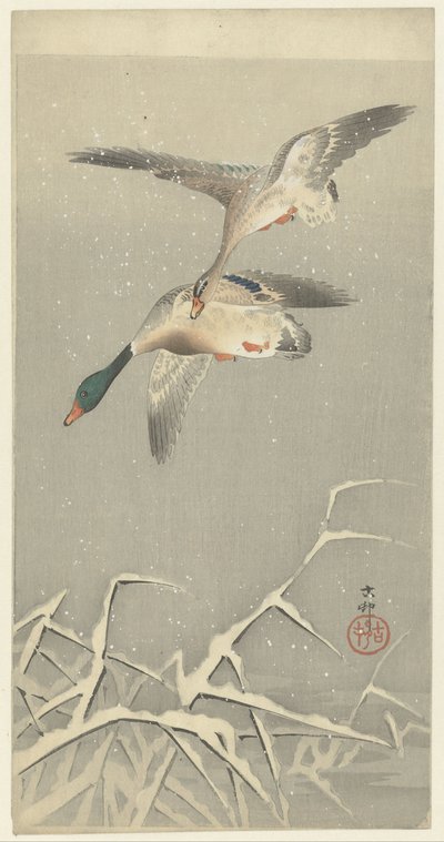 Kaksi villiankkaa lennossa tekijältä Ohara Koson