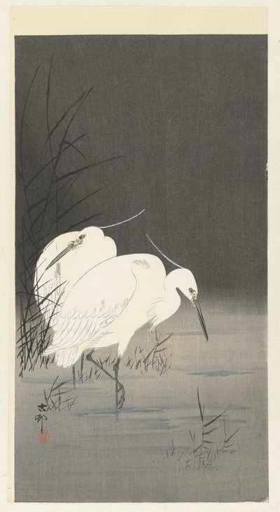 Kaksi jalohaikaraa ruokossa tekijältä Ohara Koson