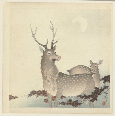 Kaksi peuraa tekijältä Ohara Koson