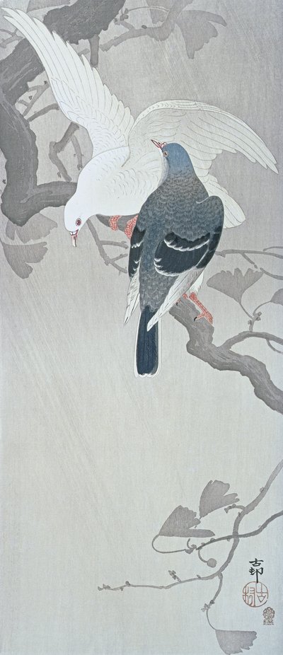 Kaksi kyyhkystä sateessa Ginkgo-puun oksalla tekijältä Ohara Koson