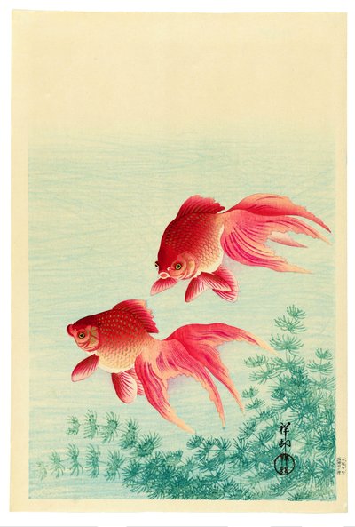Kaksi hunnunhäntäistä kultakalaa tekijältä Ohara Koson
