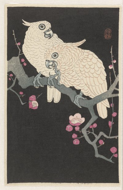 Kaksi kakadua ja luumun kukka tekijältä Ohara Koson