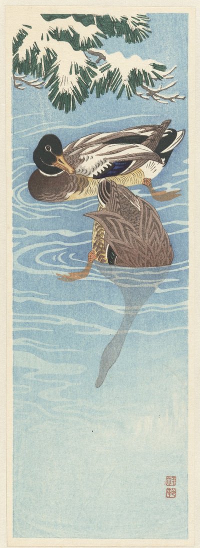 Kaksi villiankkaa vedessä tekijältä Ohara Koson
