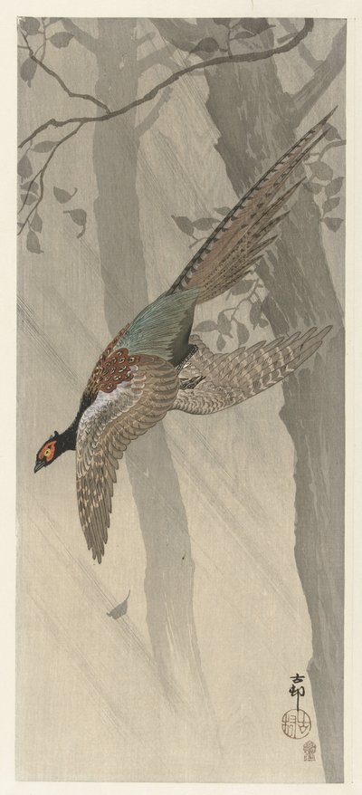 lentävä fasaani tekijältä Ohara Koson