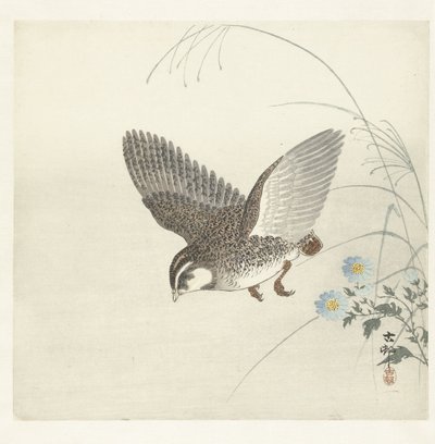 lentävä viiriäinen tekijältä Ohara Koson