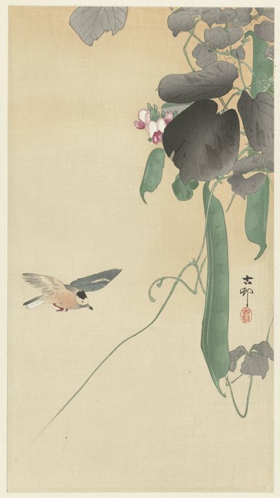 Lintu kukkivan papukasvin kohdalla tekijältä Ohara Koson