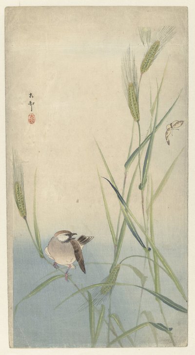 Lintu ja perhonen tekijältä Ohara Koson