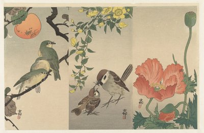 Linnut ja kasvit tekijältä Ohara Koson