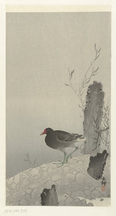 Waterhoen tekijältä Ohara Koson
