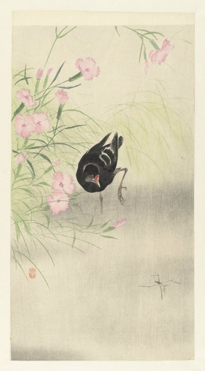 Moorhen kukkivassa kasvissa tekijältä Ohara Koson