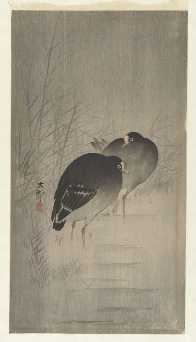 Moorhens välillä ruoko tekijältä Ohara Koson