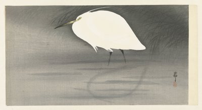 jalohaikara tekijältä Ohara Koson