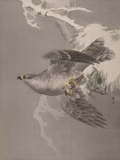 Hawk pitelee pientä lintua, n. 1891-92. tekijältä Okada Baison