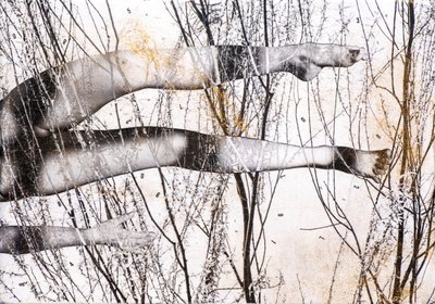 Gambe volanti, 2022 (sekatekniikka puulle) tekijältä Olivia Gozzano