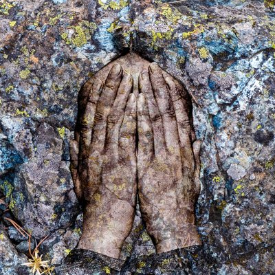 Licheni, 2024 (digitaalinen sekatekniikka) tekijältä Olivia Gozzano