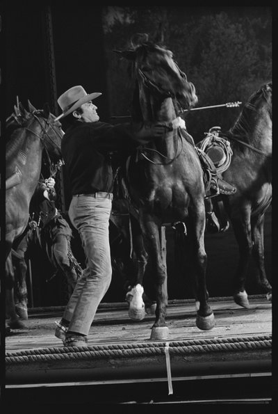 Gregory Peck hevosen kanssa Mackenna