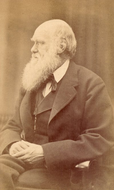 Muotokuva Charles Darwinista 72-vuotiaana, noin 1871 (albumiprintti) tekijältä Oscar Gustav Rejlander