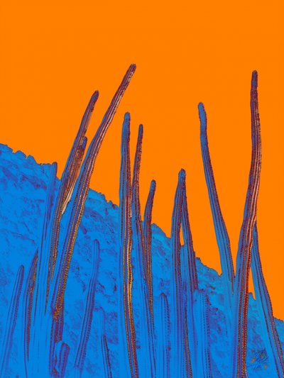 Siniset kaktukset ja oranssi taivas tekijältä Osvaldo Russo