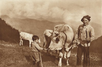 Alpilla tekijältä Otto Ballerstedt