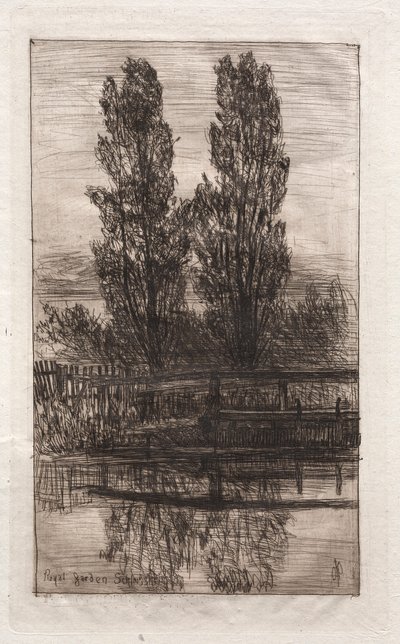 Poppelit, Royal Garden, Schleissheim, 1879. tekijältä Otto H. Bacher