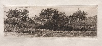 Katot ja puut, 1879. tekijältä Otto H. Bacher