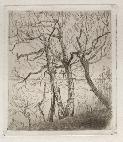 Woods by the Lake, 1878. tekijältä Otto H. Bacher