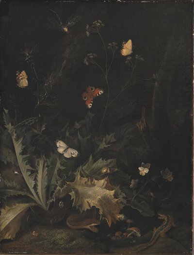 Metsäpohja, jossa ohdake, käärme, lisko ja perhosia tekijältä Otto Marseus  van Schrieck