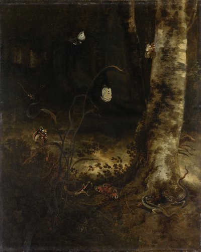 Metsän lattia käärmeen kanssa tekijältä Otto Marseus van Schrieck