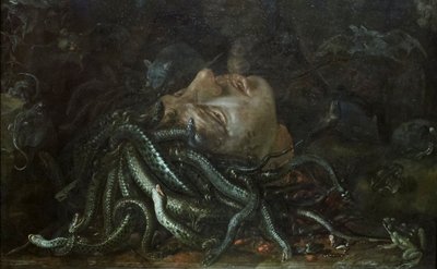 Medusan johtaja tekijältä Otto Marseus  van Schrieck