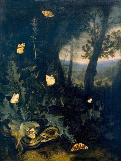 Metsäpohja ohdakkeen ja käärmeen kanssa tekijältä Otto Marseus  van Schrieck