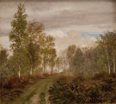 Koivut Læsøllä sateen jälkeen tekijältä P.C. Skovgaard