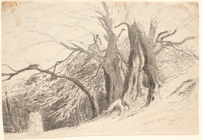 Bluff suurilla puilla metsässä, kahden kävelevän naisen kanssa. tekijältä P.C. Skovgaard