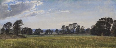 Dortheaslystin niityt tekijältä P.C. Skovgaard