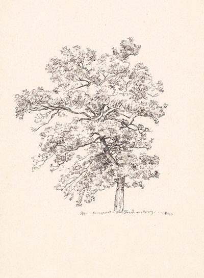 Puu Fredensborgissa tekijältä P.C. Skovgaard