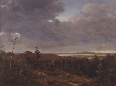 Näkymä Frederiksværkiin Tisvilde Woodista, Pohjois-Seelannista tekijältä P.C. Skovgaard