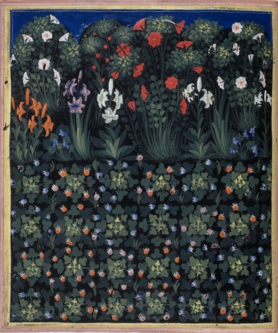 Garden From Ohjaus Carmina, Convenevole da Prato tekijältä Pacino di Buonaguida