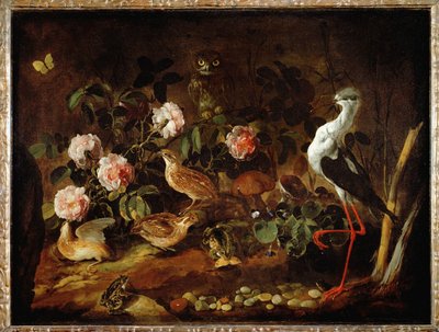 Still-elämä pöllön ja iibiksen kanssa - Nature morte avec une chouette et un ibis ... tekijältä Paolo Porpora